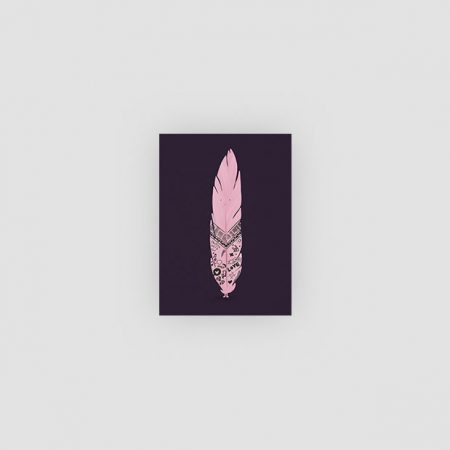 Pink feather
