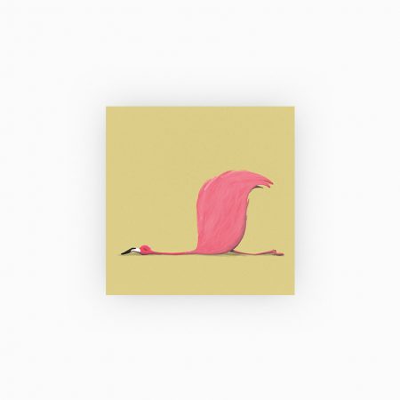 Flamingo nap